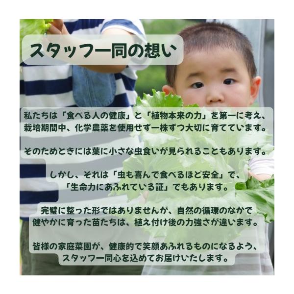 �\��@�ʂ˂��c�@50�{�@��B�������@10�����{�����@�ƒ�؉��@�_�Ɓ@���Y�Ҍ����@�������� ���i�摜1