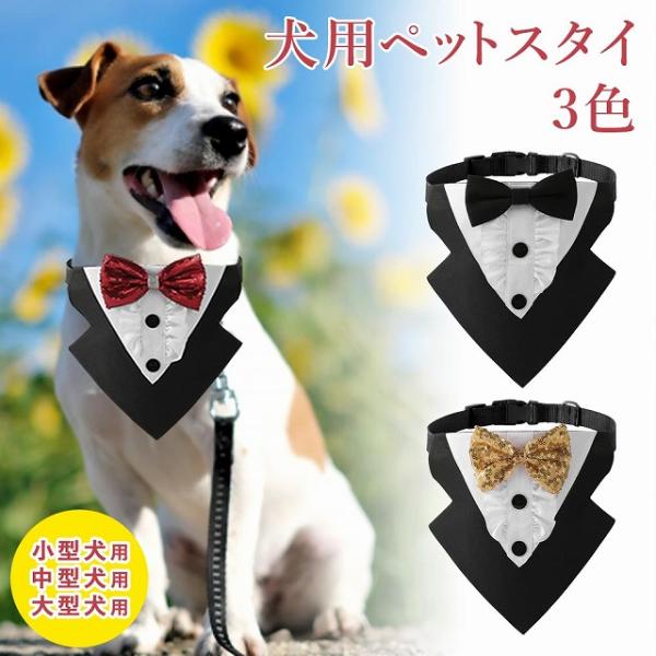 761.わんこビブ　スタイ　つけ襟　ハンドメイド　犬服 selectag_c240125ptc