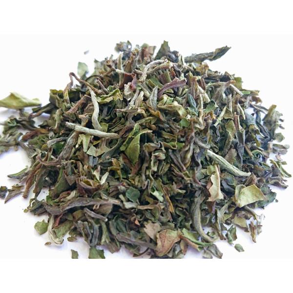 ダージリン紅茶 2026年 春摘み リシーハット茶園（MOONSHINE）DJ-22 40g (20g x 2袋)