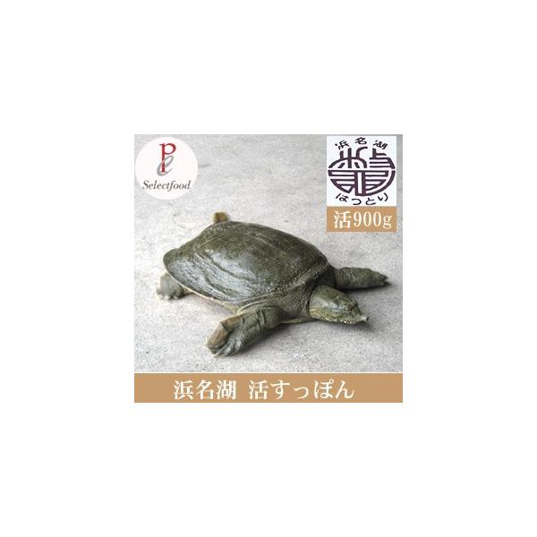 ۂC 900g@V {ꈏ̂ۂ   bXb|