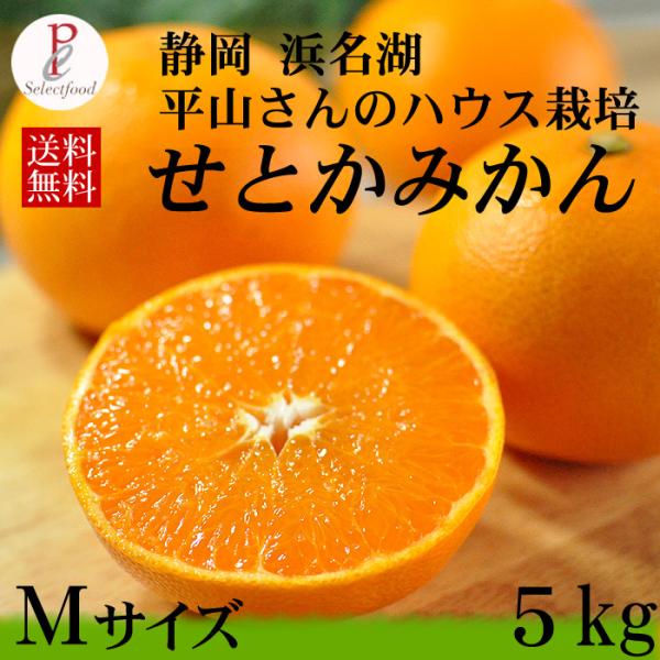 せとか 5kg Mサイズ 静岡県浜松市 奥浜名湖 平山さんのハウス栽培 みかん せとか 送料無料