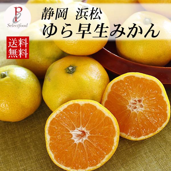 ゆら早生みかん 10kg くさかさんの由良みかん 期間限定 静岡県浜松  10/20出荷スタート