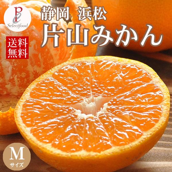 ̕ЎR݂ MTCY 5kg@Él@12/19o