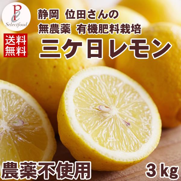 レモン 3kg 国産 れもん 無農薬 静岡三ケ日檸檬 柑橘類 送料無料 lemon 農薬不使用栽培