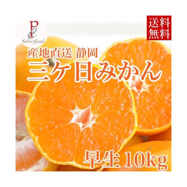 ݂ 10kg OP݂  킹 ÉO~J mikan@Yn 