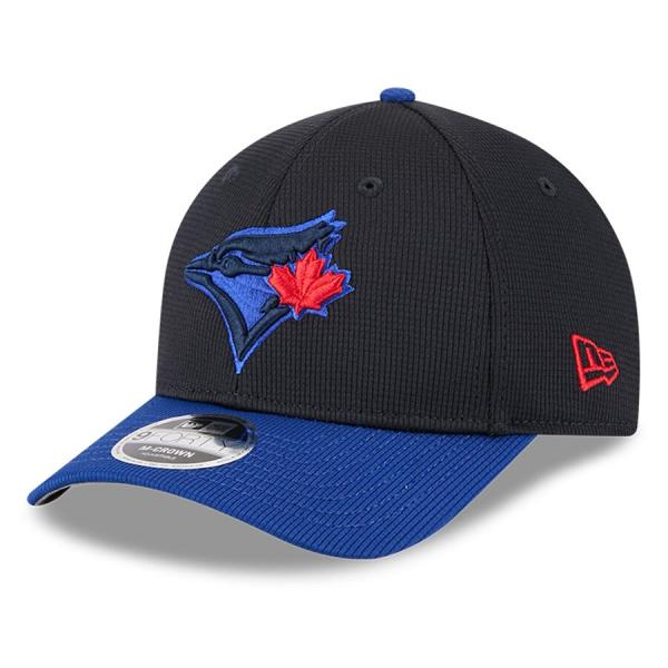 selection-basketball_mlb-