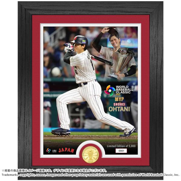 【新品】大谷翔平　WBC 記念ボール　侍ジャパン　日本代表　限定　ケース付き ケース入り】大谷翔平 直筆サイン入り WBCロゴ入り野球ボール