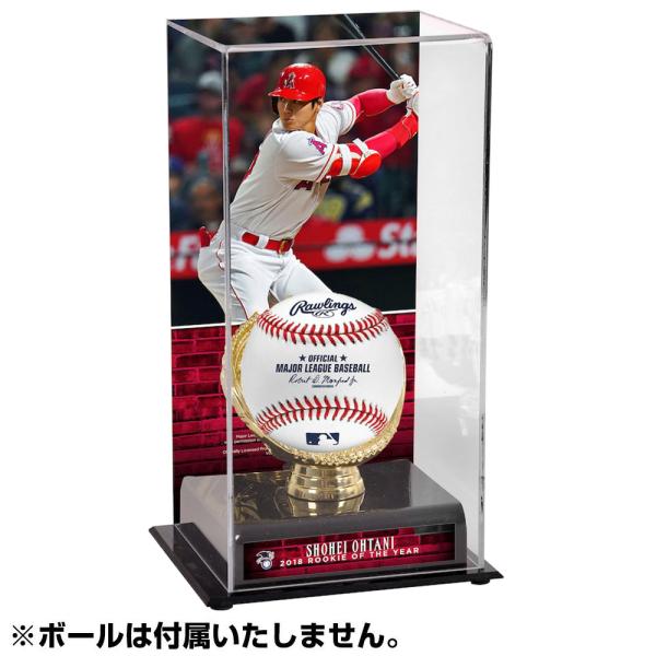 大谷翔平サイン入りイエローグローブ プロフェッショナル 大谷翔平選手からグローブが届きました／大阪府太子町