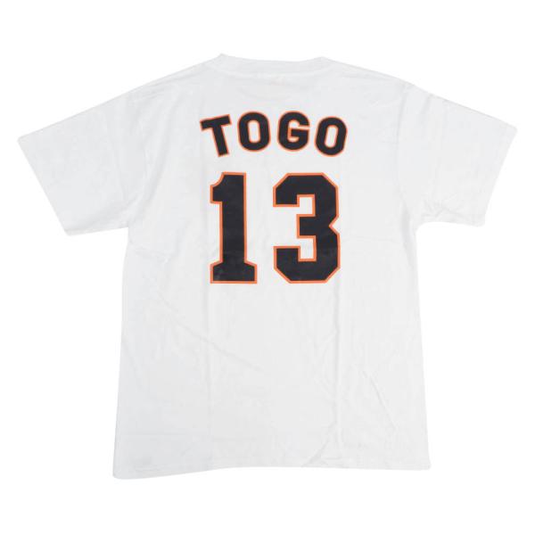 selection-j_npb-200808tyg05