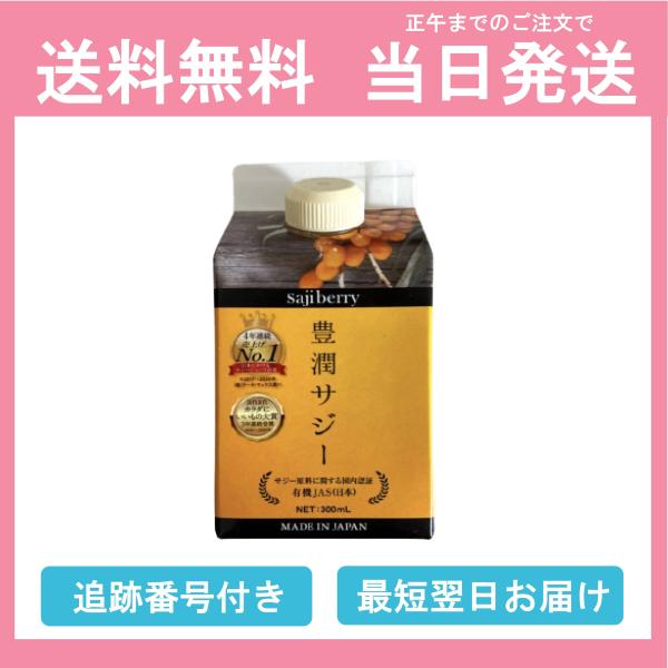 【紙パック】豊潤サジー 黄酸汁 300ml サジージュース 紙パックタイプ 送料無料 当日発送