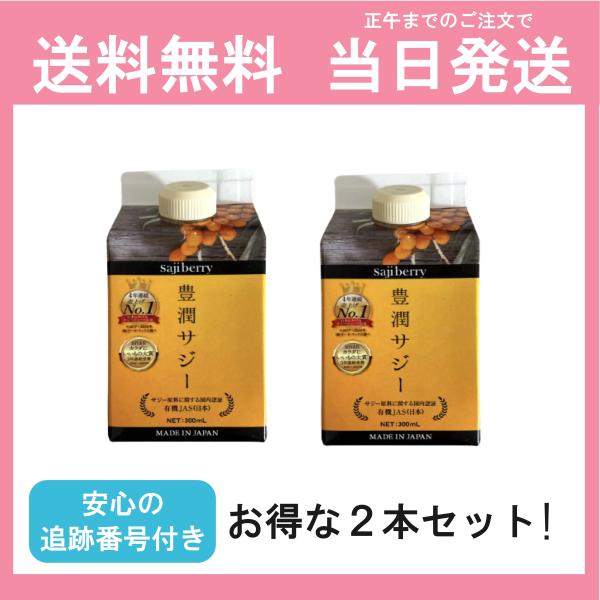 【紙パック2本セット】豊潤サジー 黄酸汁 300ml 紙パック 2本セット サジージュース 紙パックタイプ 送料無料 当日発送