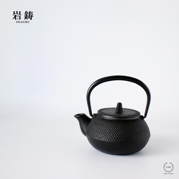 selectpenguin_iwachu002