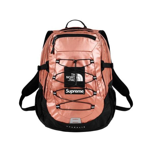 Supreme（シュプリーム） 18SS Supreme The North Face Metallic