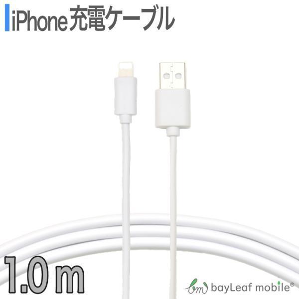 iPhone SE3(第3世代) iPhone8 8Plus iPhone7 iPhoneSE iPhone6s USB