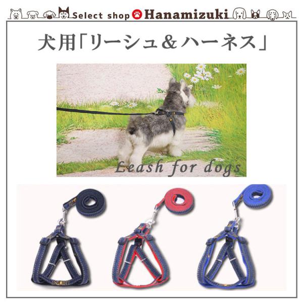 犬 ハーネス リード セット おしゃれ かわいい 3色 小型犬 : Select