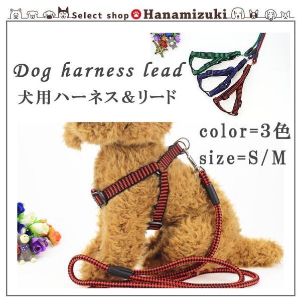 犬 ハーネス リード セット おしゃれ かわいい 3色 : Select shop
