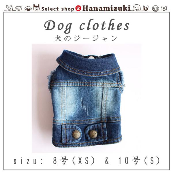 selectshophanamizuki_dg097