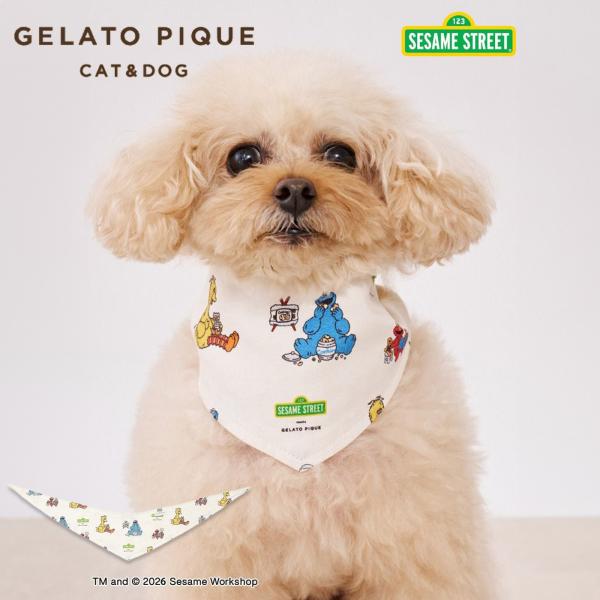 gelato pique（ジェラートピケ） SALE20%OFF CAT＆DOG SESAME STREET