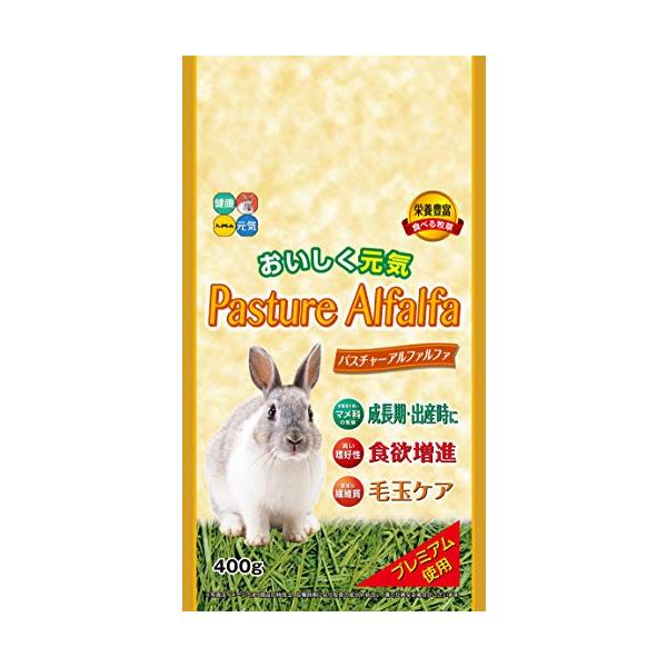他サイト： ハイペット パスチャーアルファルファ 400グラム (x 1)の商品画像