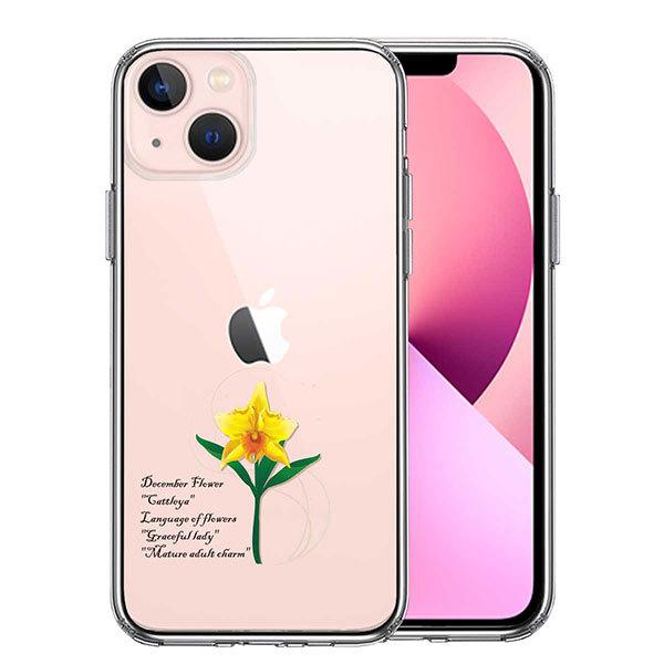 iPhone13 mini P[X n[hP[X nCubh NA ։ 12 JgA Jo[ ACtH X}zP[X