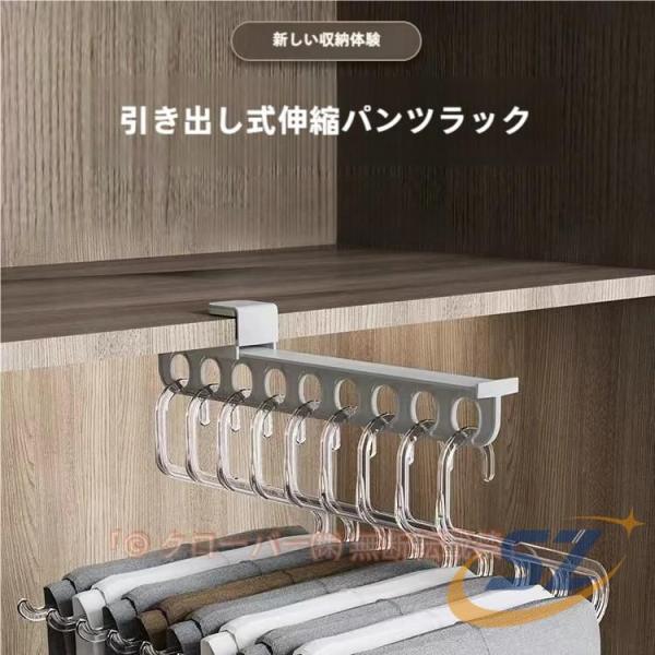 クローゼットハンガーレール スライド 押入れ収納 ハンガー 押入れ 引き出し式 シェンヘン ハンガーラック 整理棚 省スペース ラック ハンガ インテリア