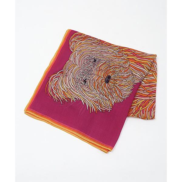 PLAIN PEOPLE PLAIN PEOPLE / プレインピープル 【INOUI EDITIONS