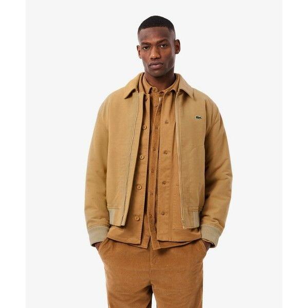 8日限定価格【新品】完売品 LACOSTE パデッド モールスキンジャケット LACOSTE（ラコステ） パデッドモールスキンジャケット / 中綿ブルゾン