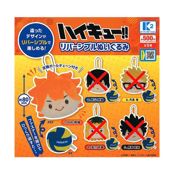 ハイキュー!! リバーシブルぬいぐるみ【日向翔陽】単品 : セレン