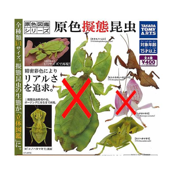 原色図鑑シリーズ 原色擬態昆虫 2種セット : セレンショップ - 通販