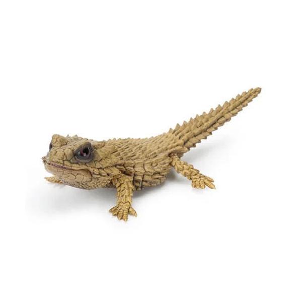 いきもの大図鑑レプティ アルマジロトカゲとフトアゴヒゲトカゲ