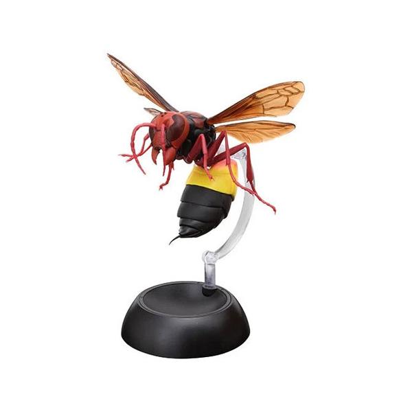 スズメ スズメ 10 | HANSA