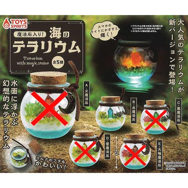 魔法石入り! 海のテラリウム【水魔法石】単品 : セレンショップ - 通販