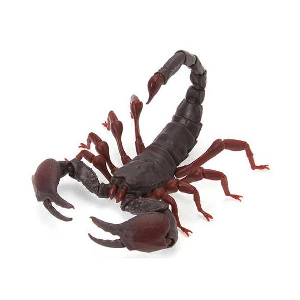 selen-shope_5500000192620