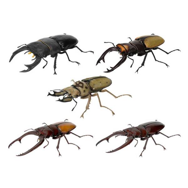 いきもの大図鑑 くわがた09【ババオウゴンオニクワガタなし】5種