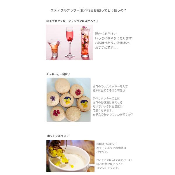 デメル スミレの砂糖漬け 38g Boxタイプ 残暑御見舞 お彼岸 お供え 敬老の日 Buyee Buyee Japanese Proxy Service Buy From Japan Bot Online