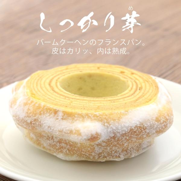 selene_nenrin-002_2_d_20240216162525