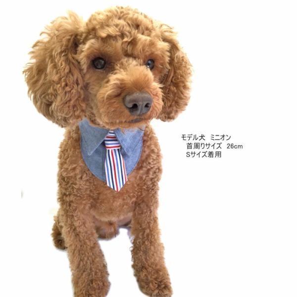 犬 服 バンダナ デニムシャツ風 ネクタイ タキシード ウェディング 結婚式 誕生日 猫 首輪 ドッグウェア ハンドメイド 受注制作 Buyee Buyee 提供一站式最全面最專業現地yahoo Japan拍賣代bid代拍代購服務 Bot Online