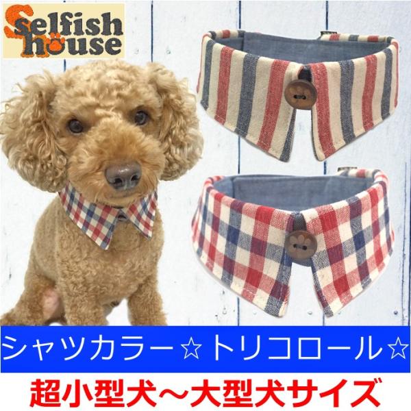 犬 服 付け襟 トリコロール デニム アクセサリー 猫 首輪 エリ えり 肉球 ドッグウェア ハンドメイド 受注制作 Buyee Buyee Japanese Proxy Service Buy From Japan Bot Online