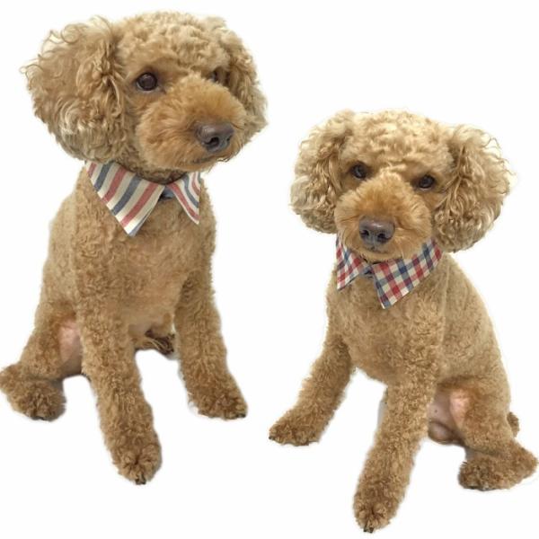 犬 服 付け襟 トリコロール デニム アクセサリー 猫 首輪 エリ えり 肉球 ドッグウェア ハンドメイド 受注制作 Buyee Buyee Japanese Proxy Service Buy From Japan Bot Online