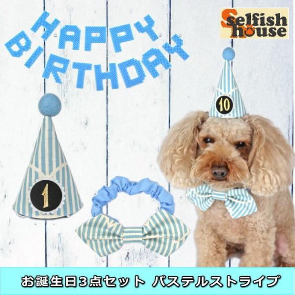 お誕生日 ガーランド ペットの人気商品 通販 価格比較 価格 Com