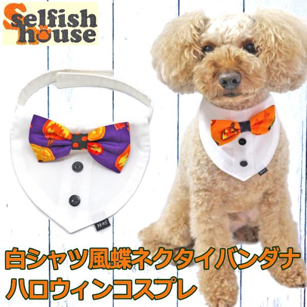 猫 蝶ネクタイ 犬用ペット服の人気商品 通販 価格比較 価格 Com