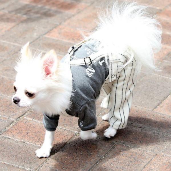 犬 服 秋 冬 フラノストライプサロペットパンツ つなぎ ズボン オーバーオール ドッグウェア 小型犬 A Bientot アビエント Buyee Buyee 日本の通販商品 オークションの代理入札 代理購入