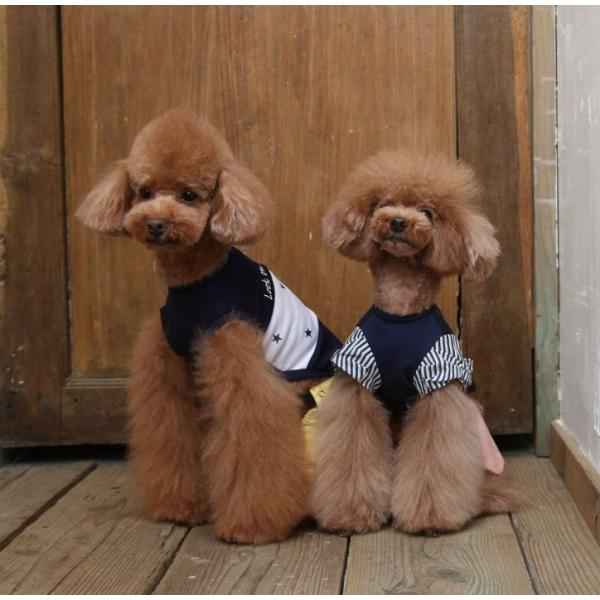 犬 服 春夏 ストライプリボンtシャツ ネイビー 半袖 かわいい ドッグウェア A Bientot アビエント Buyee Buyee Japanese Proxy Service Buy From Japan Bot Online