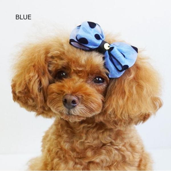 犬 ペット ヘアアクセサリー ネオンドットリボンクリップ 小型犬 中型犬 髪飾り Buyee 日本代购平台 产品购物网站大全 Buyee一站式代购 Bot Online