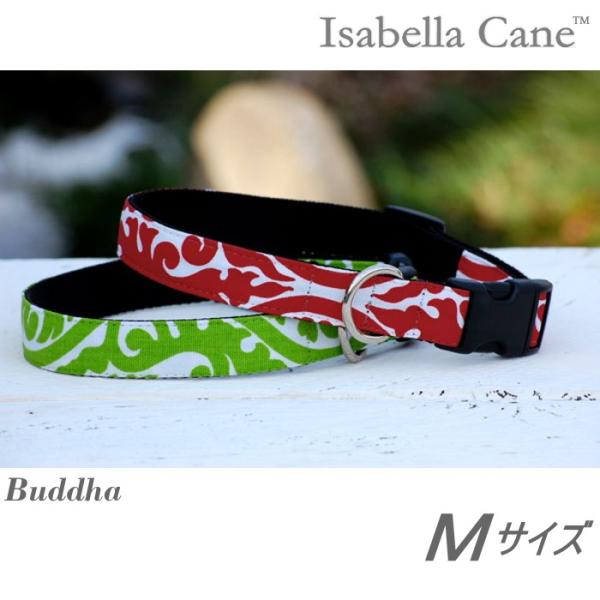   CUxPC Buddha MTCY J[ U k Zu IsabellaCane  ^ ^