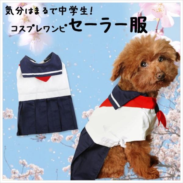   Z[[  w ̎q Air Ballon GAo[ XJ[g RXv RX`[