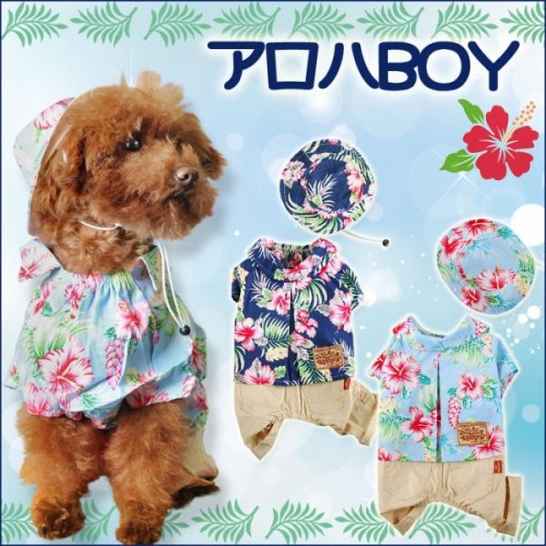    AnBOY Ȃ Xqt I[C AnVc nCA j̎q   pc Y{ GAo[ AirBalloon hbOEFA