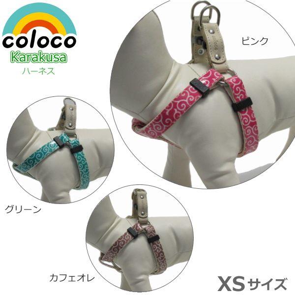  n[lX  RR coloco JNT XSTCY ^p a U