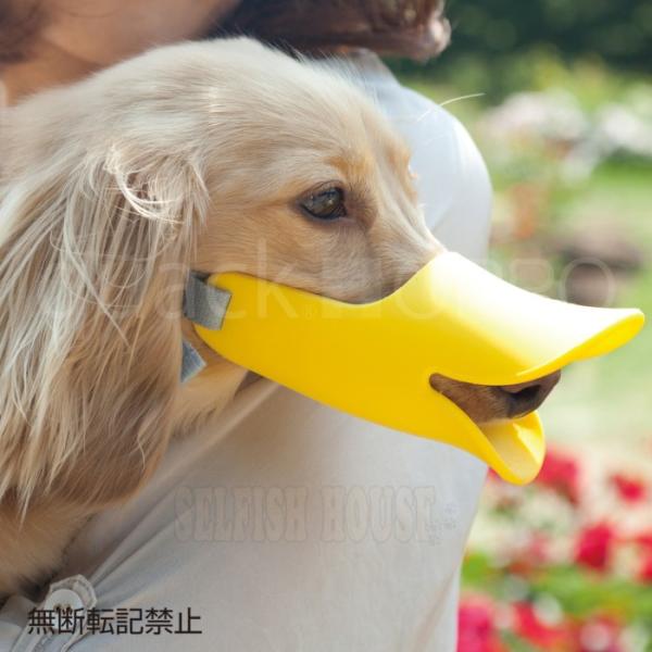 犬 口輪 Oppo Quack クァック ｍ 噛み付き防止 しつけ ソフトシリコン Buyee Buyee 提供一站式最全面最专业现地yahoo Japan拍卖代bid代拍代购服务 Bot Online