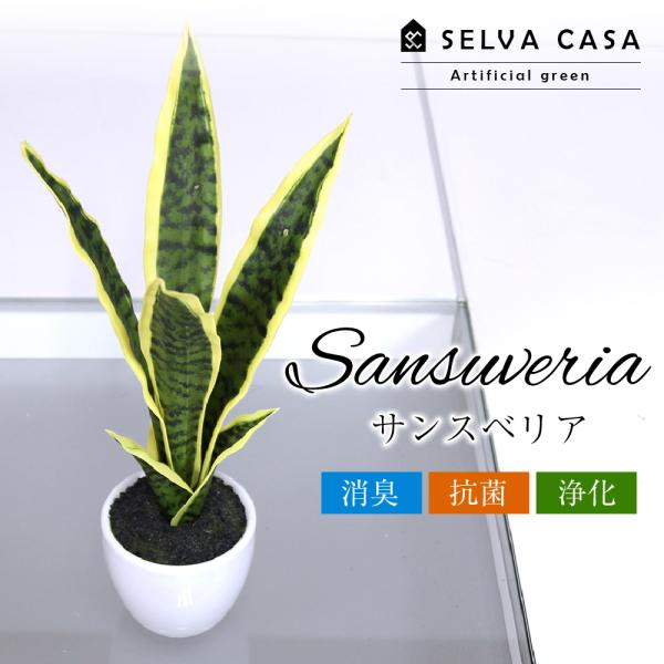 selvacasa_b-grn00018 selvacasa_b-grn00018